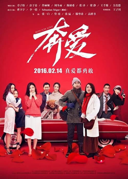 Poster phim Đuổi Theo Tình Yêu (2016)