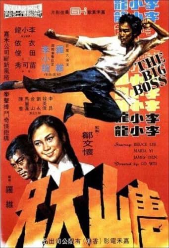 Poster phim Đường Sơn Đại Huynh (1971)