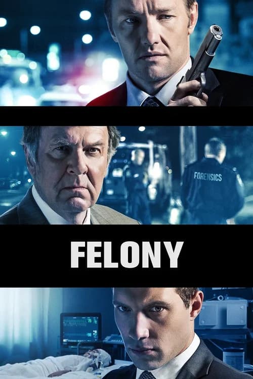 Poster phim Felony (2014)