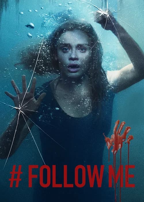 Poster phim Follow Me (2020)