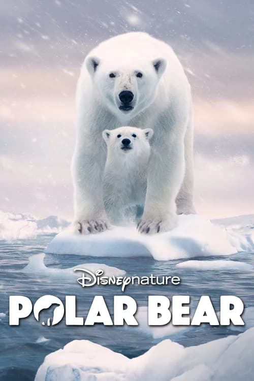 Poster phim Gấu Bắc Cực (2022)