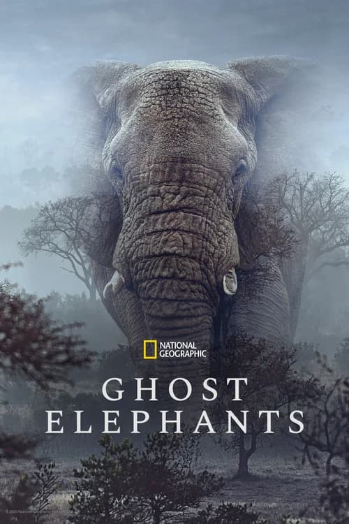 Poster phim Ghost Elephants (2026)