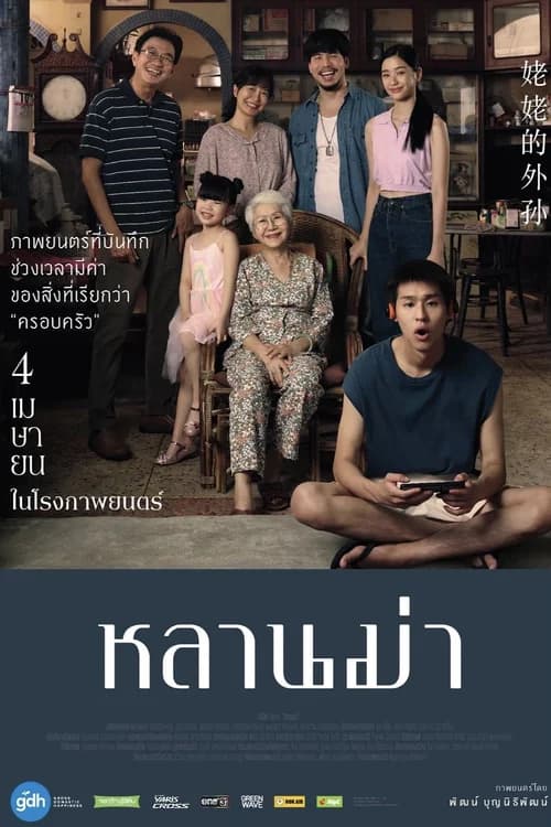 Poster phim Gia Tài Của Ngoại (2024)