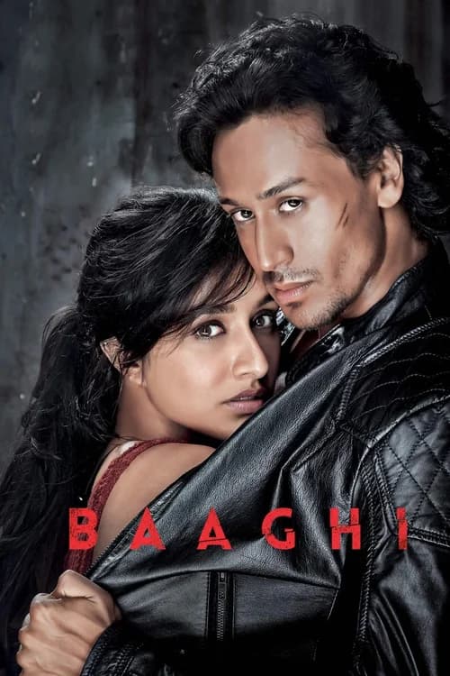 Poster phim Giải Cứu Người Đẹp (2016)