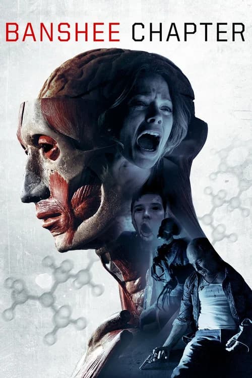 Poster phim Giải Mã Căn Phòng Bí Ẩn (2013)