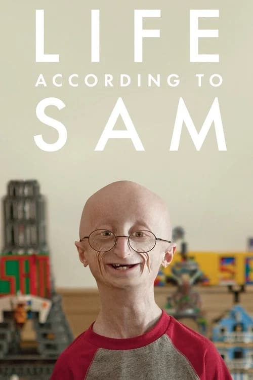 Poster phim Góc Nhìn Cuộc Sống Của Sam (2013)