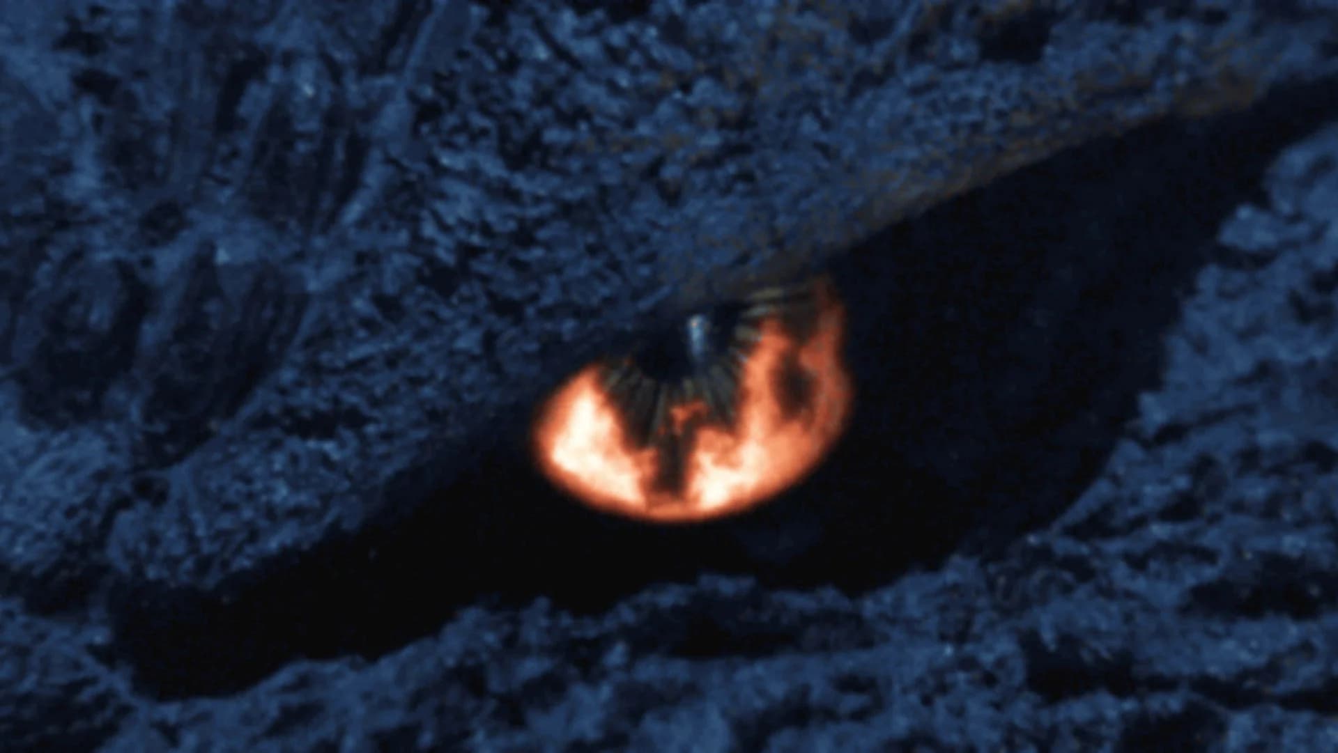 Backdrop phim Godzilla: Final Wars