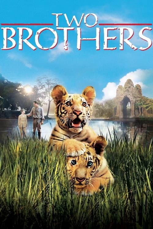 Poster phim Hai Anh Em Hổ (2004)