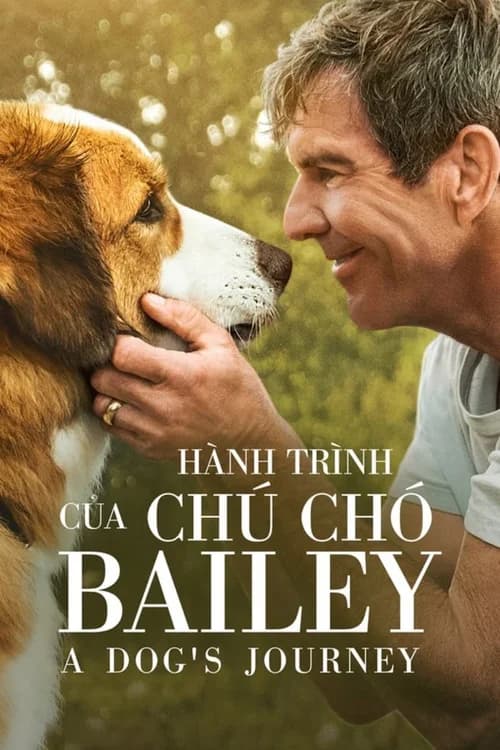 Poster phim Hành Trình Của Chú Chó Bailey (2019)