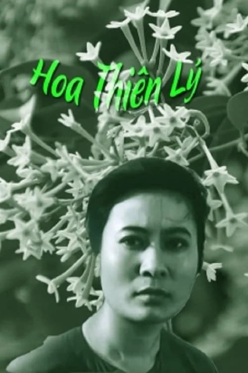 Backdrop phim Hoa Thiên Lý
