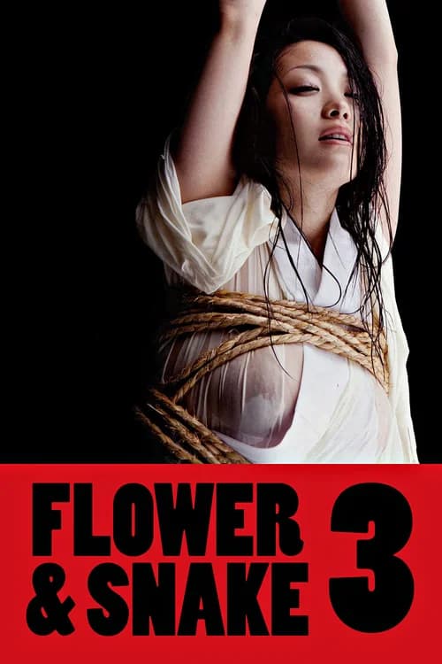 Poster phim Hoa Và Rắn 3 (2010)