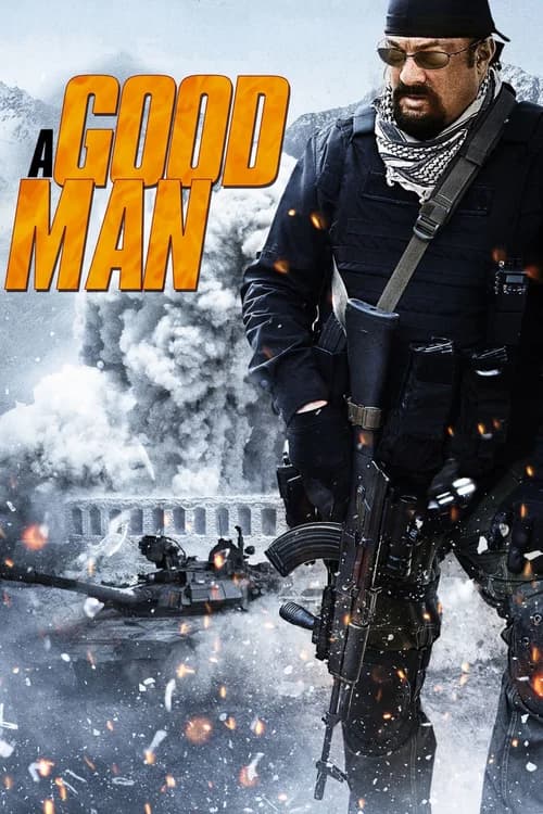 Poster phim Hoàn Lương (2014)