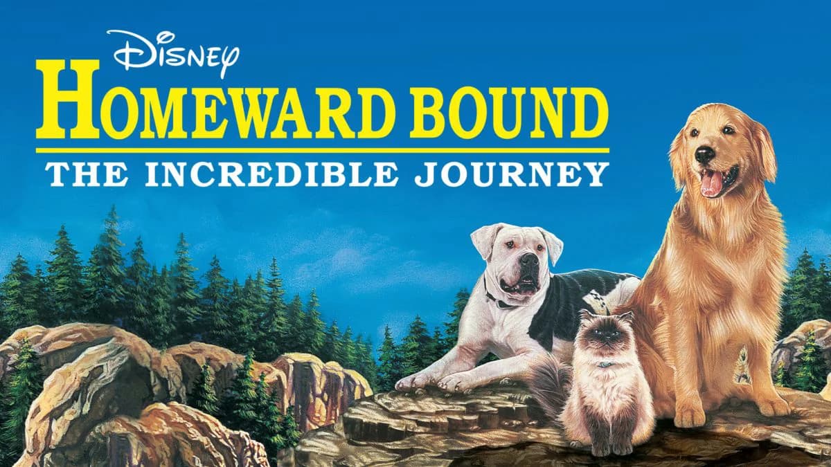 Backdrop phim Homeward Bound: The Incredible Journey