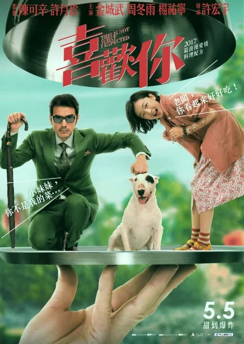 Poster phim Hướng Dẫn Sử Dụng Đàn Ông (2017)