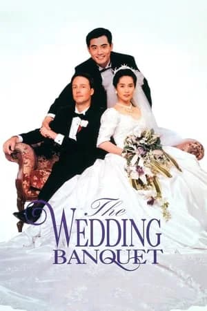 Poster phim Hỷ yến (1993)