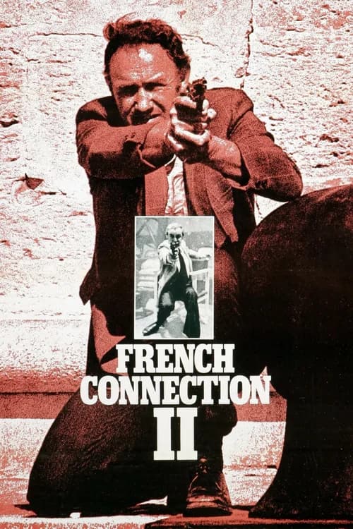 Poster phim Kẻ Đầu Mối Pháp 2 (1975)