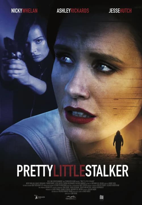 Poster phim Kẻ Đeo Bám Xinh Đẹp (2018)
