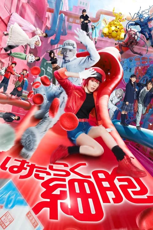 Poster phim Khi tế bào làm việc (2024)