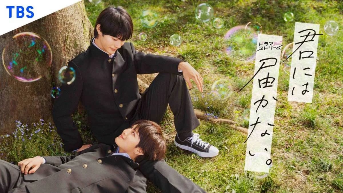 Backdrop phim Không thể chạm