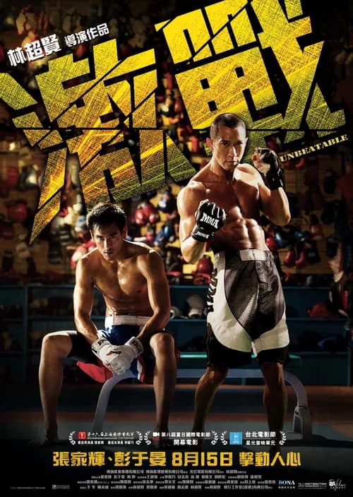 Poster phim Kích Chiến (2013)