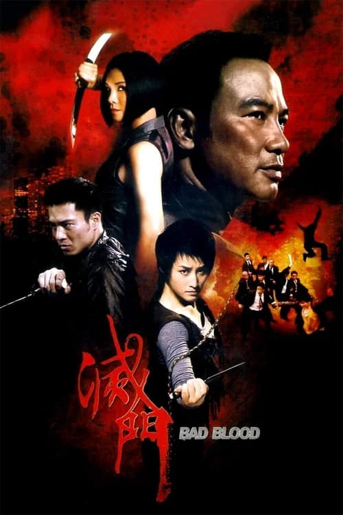 Poster phim King of Triads (2010)