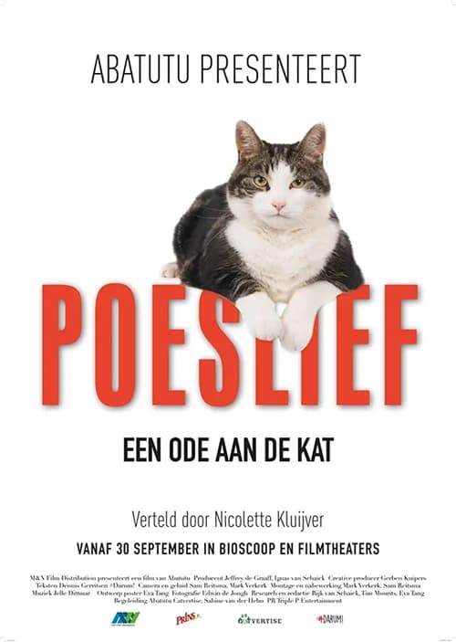 Poster phim Kitty Love: Mèo cưng nhà mình