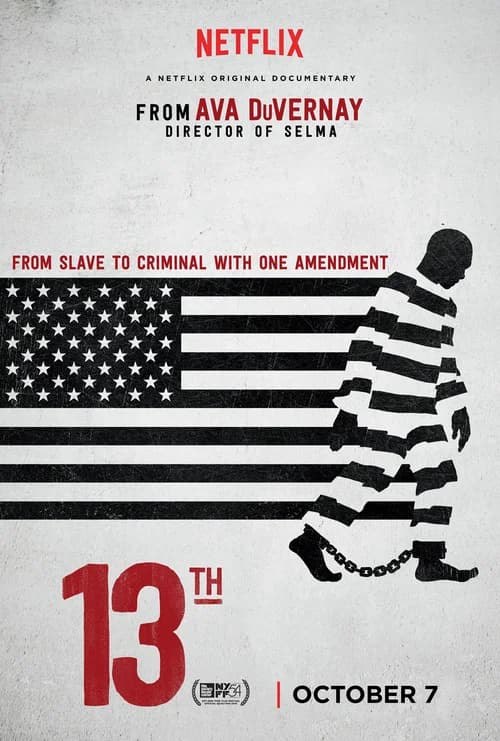 Poster phim Lần sửa đổi thứ 13 (2016)