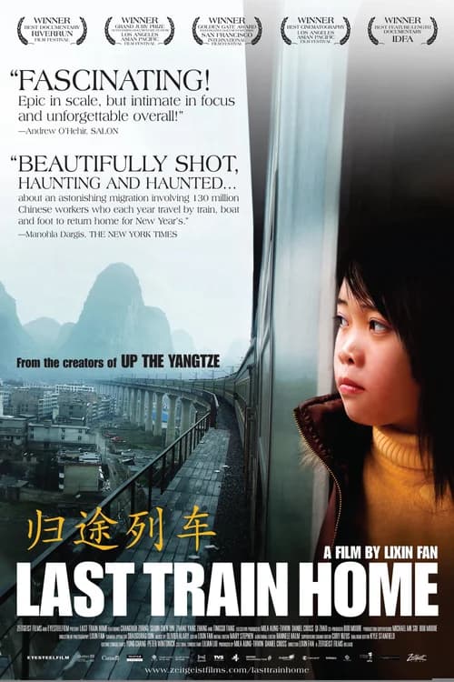 Poster phim Last Train Home (2009)