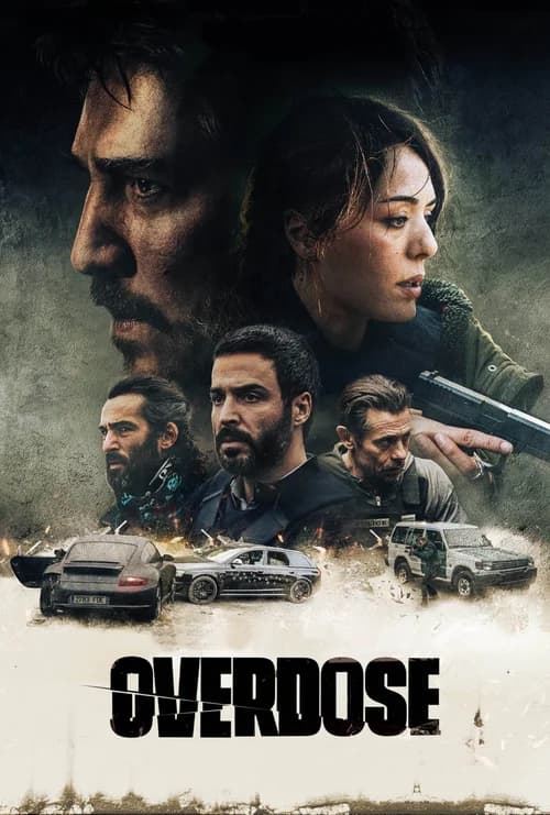 Poster phim Liều Lĩnh (2022)