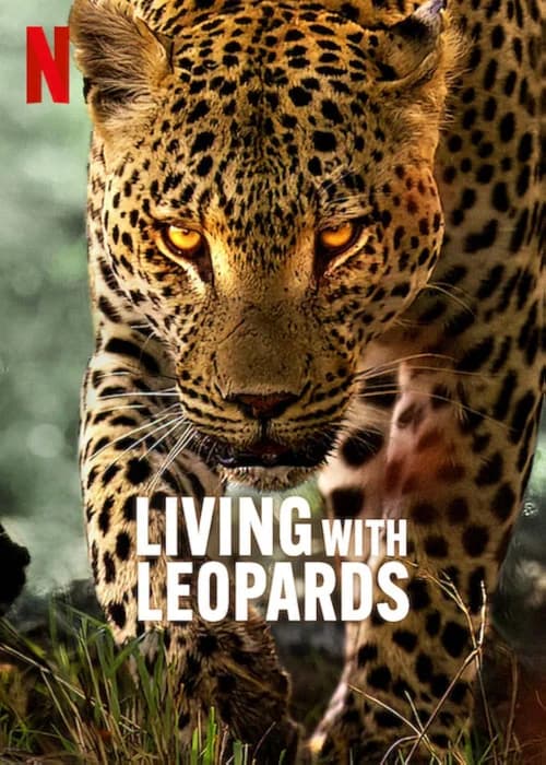 Poster phim Living with Leopards (2024)