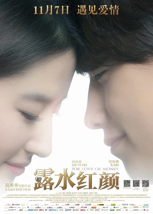 Poster phim Lộ Thủy Hồng Nhan (2014)