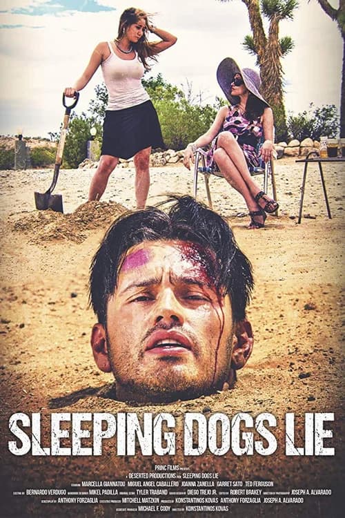 Poster phim Lời Nói Dối Ngọt Ngào (2019)