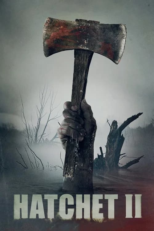 Poster phim Lưỡi Rìu 2 (2010)