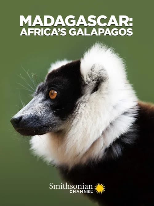 Poster phim Madagascar: Africa's Galapagos (2019)