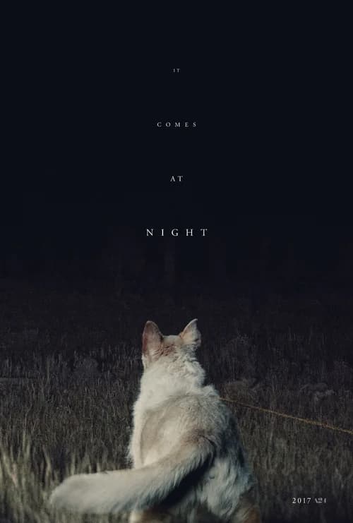 Poster phim Màn Đêm Buông Xuống (2017)