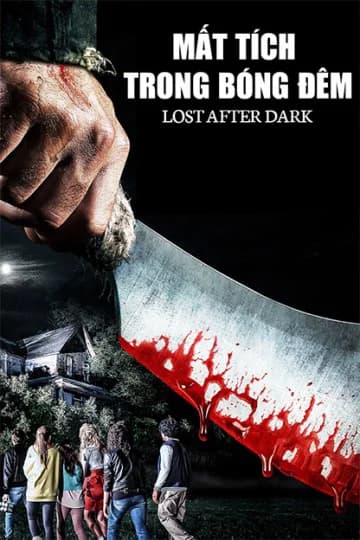 Poster phim Mất Tích Trong Bóng Đêm (2014)