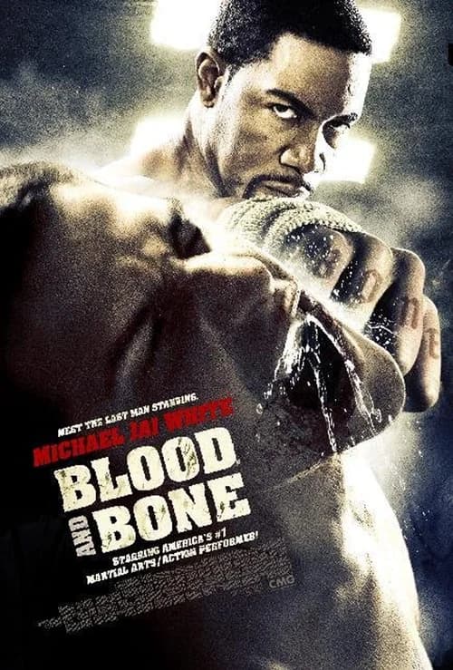 Poster phim Máu Và Xương (2009)