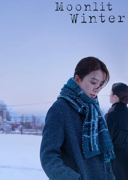 Poster phim Moonlit Winter (2019)