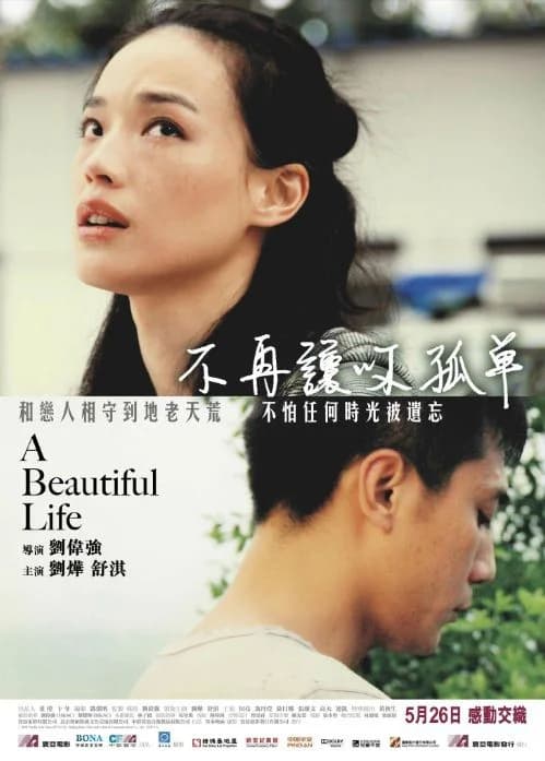 Poster phim Một cuộc đời tươi đẹp (2011)