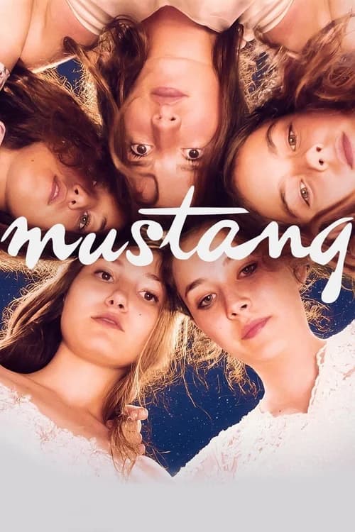 Poster phim Mustang (2015)