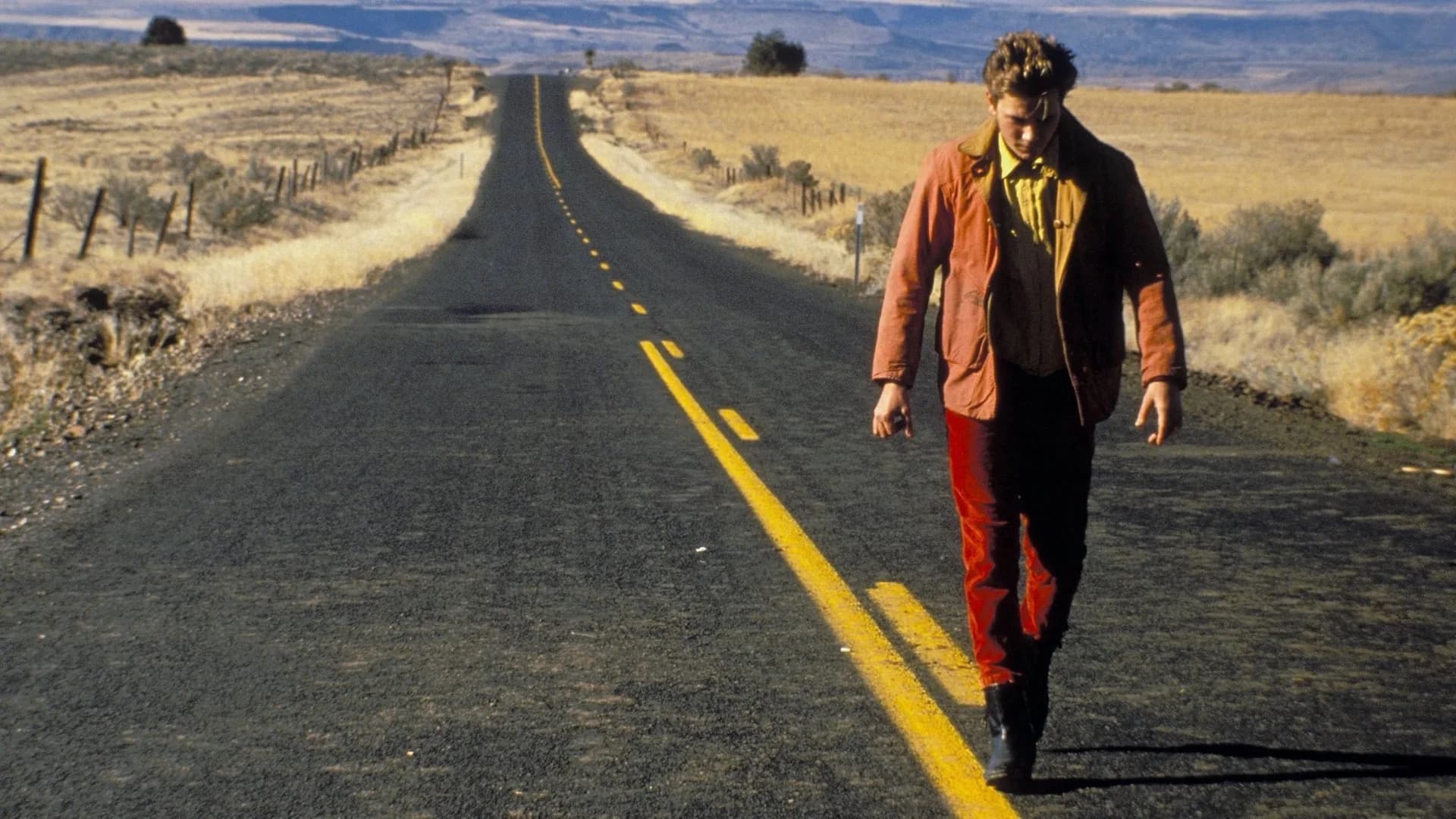 Backdrop phim My Own Private Idaho