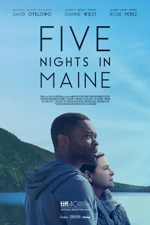 Poster phim Năm đêm ở Maine (2016)