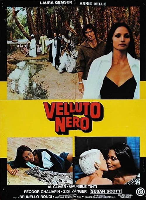 Poster phim Nàng Thơ Đen Trắng (1976)
