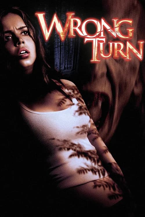 Poster phim Ngã Rẽ Tử Thần (2003)