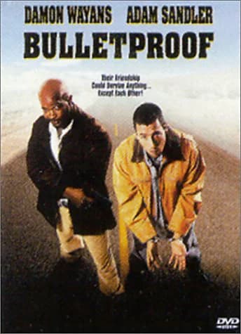 Poster phim Người hộ tống (1996)