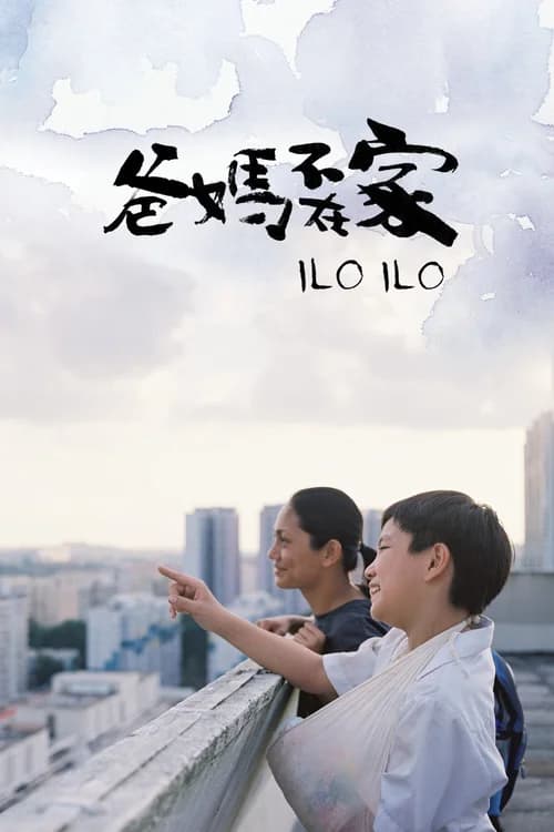 Poster phim Người Mẹ Thứ Hai (2013)