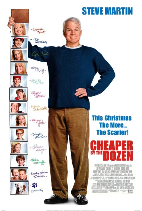 Poster phim Nhà Có Một Tá Con (2003)