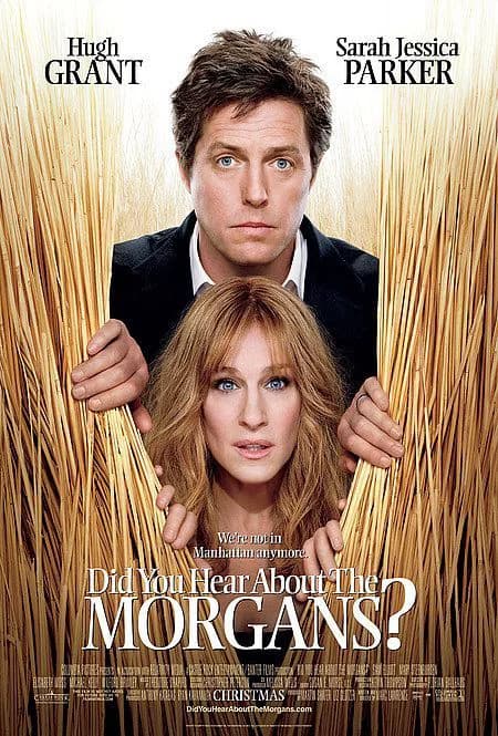 Poster phim Nhân chứng bất đắc dĩ (2009)