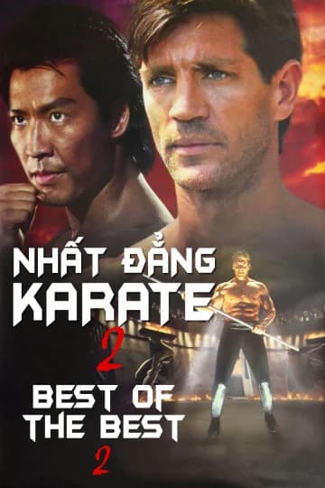 Poster phim Nhất Đẳng Karate 2 (1993)
