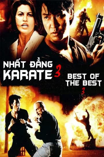 Poster phim Nhất Đẳng Karate 3 (1995)